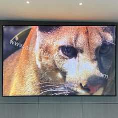 320mmx160mm Indoor Advertising LED Screen Material de gabinete de ferro/alumínio de fundição a moagem